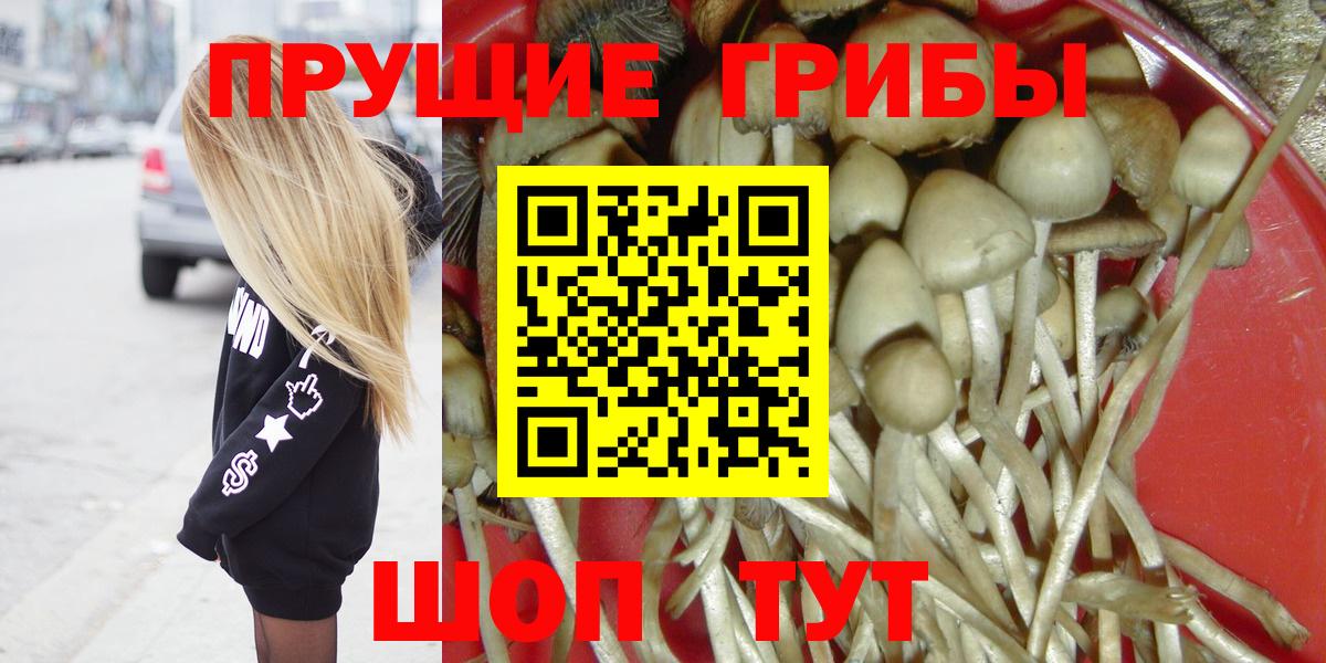 Владивосток  Галлюциногенные грибы Psilocybe  дарнет шоп  Псилоцибиновые грибы Psilocybe  Вход с VPN 